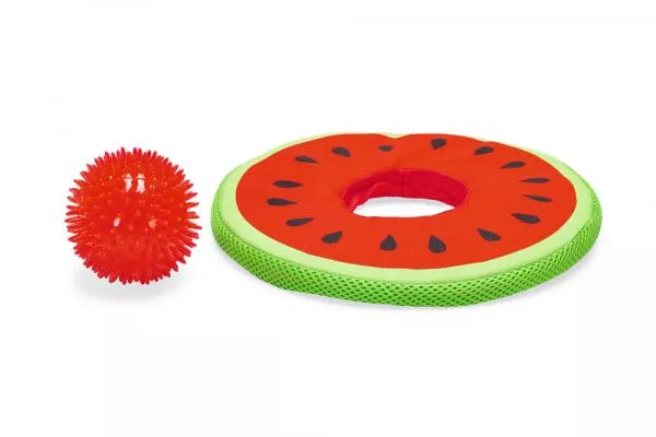 Wasserspielzeug - Melone (Frisbee) inkl. Igelball